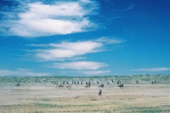 "Battle of the Little Bighorn Reenactment", near Hardin, Montana