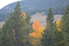 "Fall in Wyoming IX", Big Horn Mountains, Wyoming