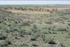 "Cheyenne Ravine", Linville Massacre Site 9-11-1874, 15 Miles East of Ft. Wallace, KS