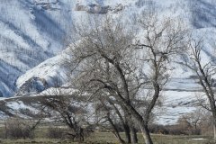 "Dead of Winter", Wyoming