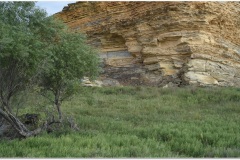"Plummer Site" aka "Linville Massacre Site", Cheyenne Massacre of John German Family (Sept. 11, 1874), 15 miles East of Ft. Wallace, Kansas