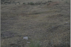 "The Trail", Cheyenne Massacre of John German Family 9-11-1874, Linville Site, 15 miles East of Ft. Wallace, KS
