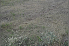 "Vicinity of the Cheyenne Massacre of the John German Family", (Linville Massacre Site Markers to the right of the vehicle), 15 miles East of Ft. Wallace, KS