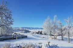 "Wyoming Winter", Sheridan, Wyoming